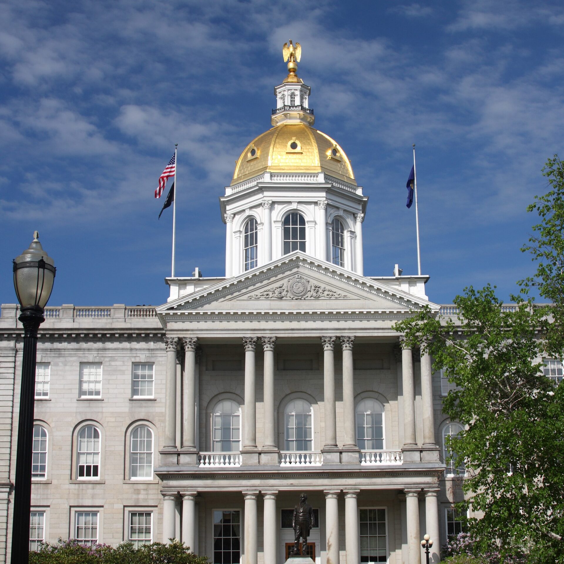 New Hampshire Passes the First of its Kind StateSupported Voluntary