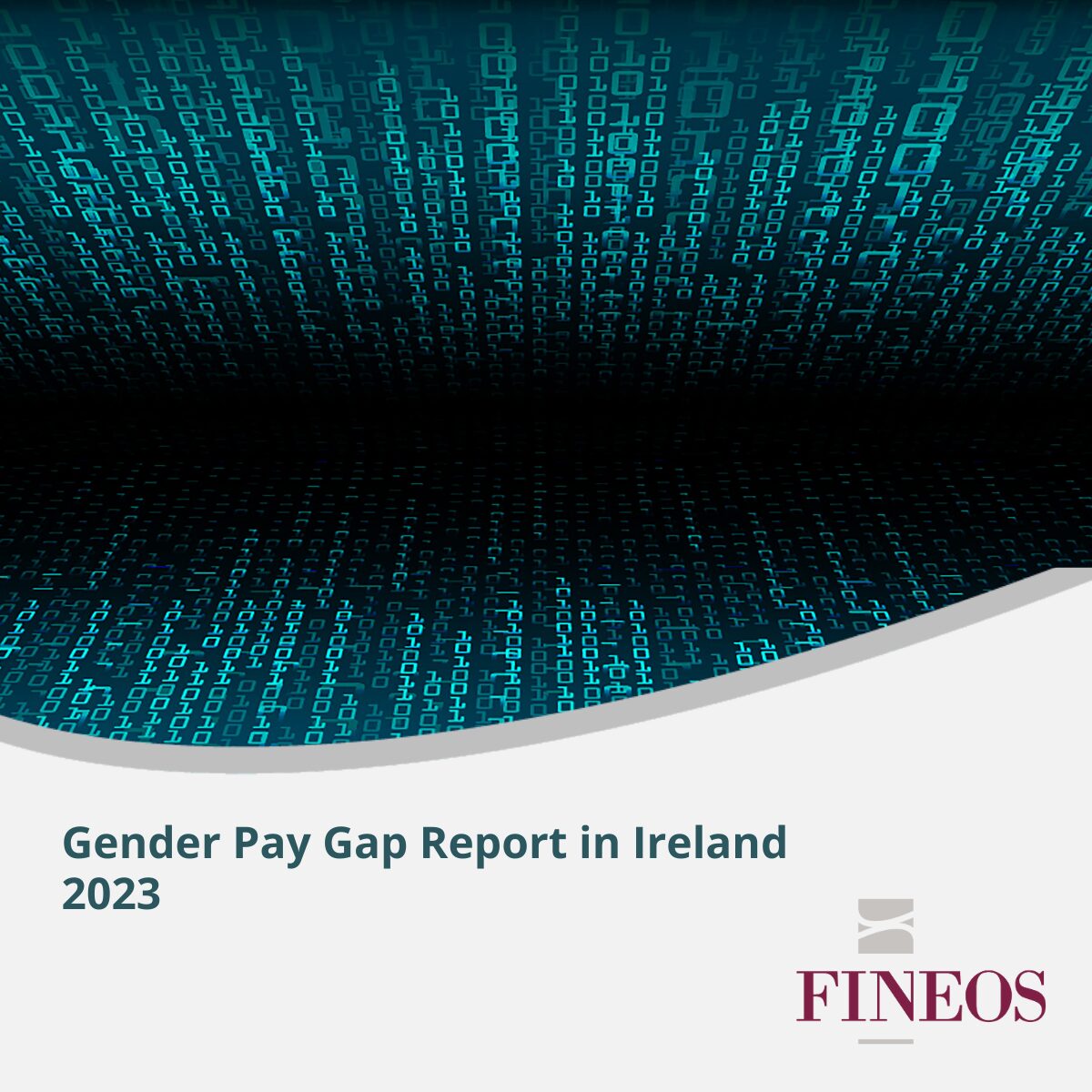 Gender Pay Gap in Ireland Report 2023