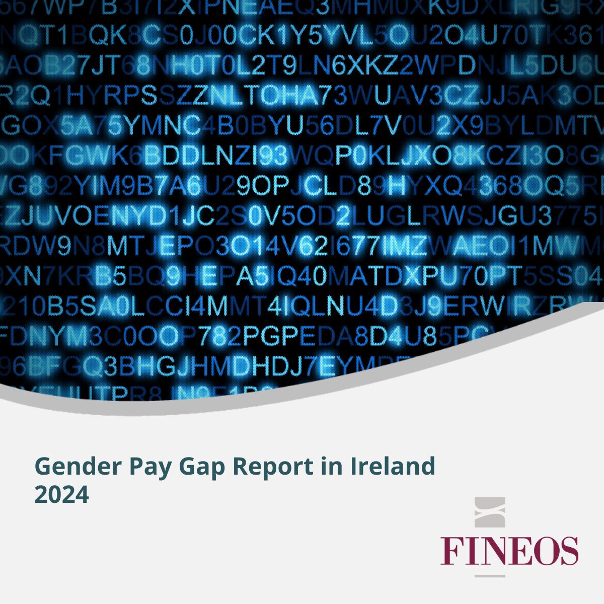 Gender Pay Gap in Ireland Report 2024